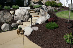 landscaped patios and walkways
